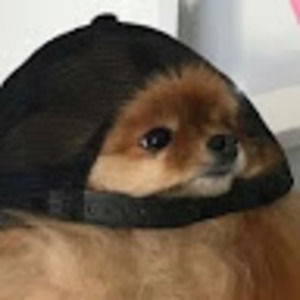 Meet your Posher, Araceli